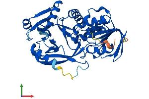 AlphaFold protein structure predicition of Mouse Recombinant Pipox Protein, UniprotID Q9D826