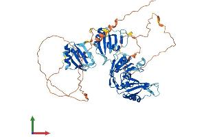 AlphaFold protein structure predicition of Mouse Recombinant Hnrnpll Protein, UniprotID Q921F4