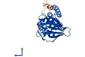 AlphaFold protein structure predicition of Mouse Recombinant Haghl Protein, UniprotID Q9DB32