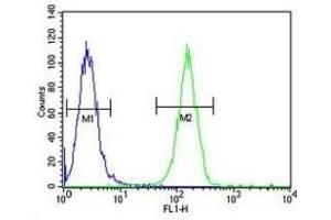 XRCC6 antibody flow cytometric analysis of A2058 cells (green) compared