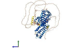 AlphaFold protein structure predicition of Mouse Recombinant Rfx3 Protein, UniprotID P48381