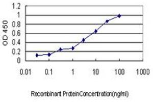 Detection limit for recombinant GST tagged KRIT1 is approximately 0. (KRIT1 anticorps  (AA 637-736))