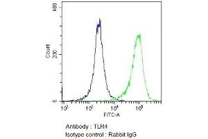 Flow Cytometry analysis using Rabbit Anti-TLR4 Polyclonal Antibody (ABIN2485964). (TLR4 anticorps  (AA 420-435) (Atto 594))