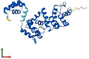 AlphaFold protein structure predicition of Mouse Recombinant Dcun1d2 Protein, UniprotID Q8BZJ7