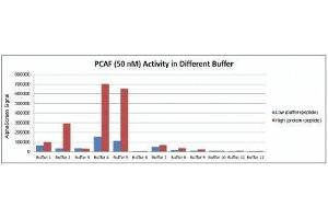 Recombinant PCAF (715-829) activity using AlphaScreen.