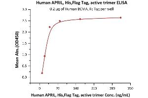 Immobilized Human BCMA, Fc Tag (ABIN2180645,ABIN2180644) at 2 μg/mL (100 μL/well) can bind Human APRIL, His,Flag Tag, active trimer (ABIN6972945) with a linear range of 10-39 ng/mL (QC tested).