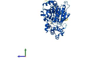 AlphaFold protein structure predicition of Mouse Recombinant Abhd3 Protein, UniprotID Q91ZH7