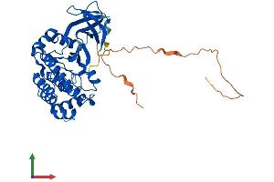 AlphaFold protein structure predicition of Human Recombinant VRK1 Protein, UniprotID Q99986