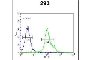 NXPH1 Antibody (N-term) (ABIN653496 and ABIN2842909) flow cytometric analysis of 293 cells (right histogram) compared to a negative control cell (left histogram).