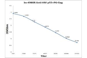 Antigen: 0. (Hiv P55+P6-Gag anticorps)