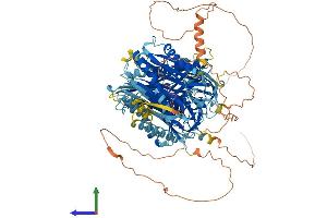 AlphaFold protein structure predicition of Human Recombinant C2CD5 Protein, UniprotID Q86YS7 (C2CD5/KIAA0528 Protein (AA 1-1000) (His tag))