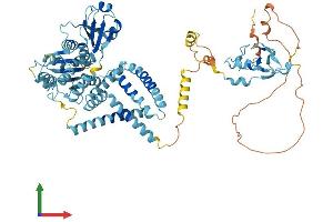AlphaFold protein structure predicition of Mouse Recombinant Rnf103 Protein, UniprotID Q9R1W3
