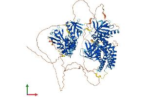 AlphaFold protein structure predicition of Mouse Recombinant Farp1 Protein, UniprotID F8VPU2