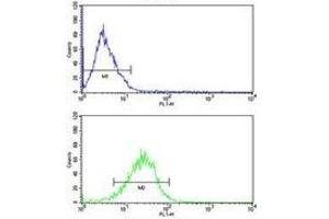 Bid antibody flow analysis of MCF-7 cells (bottom histogram) compared to a negative control (top histogram). (BID anticorps  (AA 39-68))