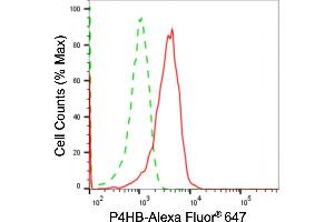 Flow cytometric analysis of P4HB expression in HepG2 cells using P4HB antibody (ABIN7799919), 1:2,000). (P4HB anticorps)