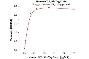 Immobilized Human CD58, Fc Tag (ABIN5526666,ABIN5526667) at 5 μg/mL (100 μL/well) can bind Human CD2, His Tag (ABIN2180720,ABIN2180719) with a linear range of 0.