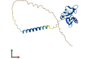 AlphaFold protein structure predicition of Mouse Recombinant Klrk1 Protein, UniprotID O54709
