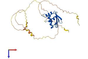 AlphaFold protein structure predicition of Mouse Recombinant Spi1 Protein, UniprotID P17433
