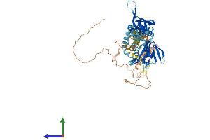 AlphaFold protein structure predicition of Human Recombinant CNNM3 Protein, UniprotID Q8NE01
