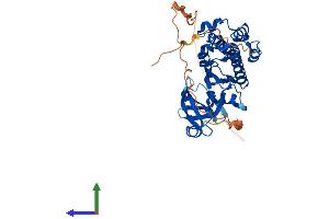 AlphaFold protein structure predicition of Mouse Recombinant Pim2 Protein, UniprotID Q62070