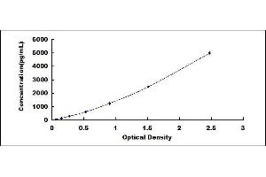 ELISA image for Pro-Brain Natriuretic Peptide (NT-ProBNP) (NT-ProBNP) ELISA Kit (ABIN415569)
