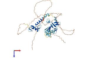 AlphaFold protein structure predicition of Mouse Recombinant Znhit6 Protein, UniprotID Q3UFB2