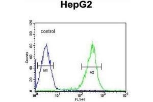 PCBD1 Antibody (Center) flow cytometric analysis of HepG2 cells (right histogram) compared to a negative control cell (left histogram). (PCBD1 anticorps  (Middle Region))