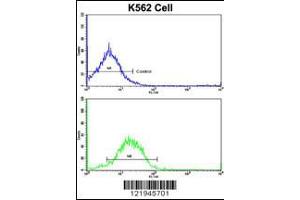 Flow cytometric analysis of K562 cells using IFNAR1 Antibody (bottom histogram) compared to a negative control cell (top histogram).