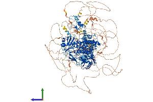 AlphaFold protein structure predicition of Mouse Recombinant Tut4 Protein, UniprotID B2RX14