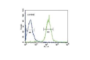 PLA2G6 Antibody (Center) (ABIN653895 and ABIN2843138) flow cytometric analysis of HepG2 cells (right histogram) compared to a negative control cell (left histogram). (PLA2G6 anticorps  (AA 551-580))