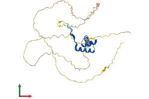 AlphaFold protein structure predicition of Mouse Recombinant Dlx5 Protein, UniprotID P70396