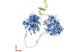 AlphaFold protein structure predicition of Human Recombinant CORO7 Protein, UniprotID P57737
