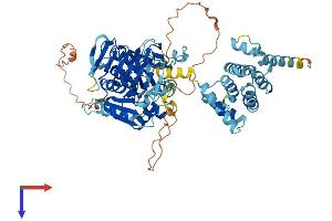 AlphaFold protein structure predicition of Mouse Recombinant Eif2b5 Protein, UniprotID Q8CHW4