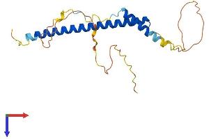 AlphaFold protein structure predicition of Mouse Recombinant Akirin2 Protein, UniprotID B1AXD8