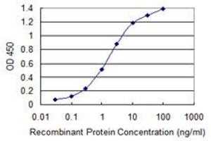 Detection limit for recombinant GST tagged ABCB1 is 0.