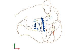 AlphaFold protein structure predicition of Human Recombinant SRF Protein, UniprotID P11831
