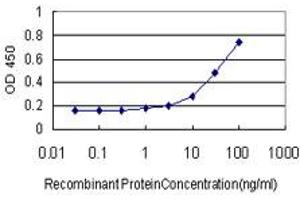 anti-Thyroid Hormone Receptor Interactor 13 (TRIP13) (AA 1-432) antibody