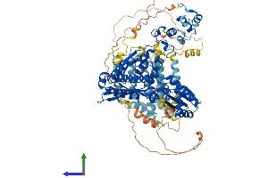 AlphaFold protein structure predicition of Mouse Recombinant Hmgcr Protein, UniprotID Q01237