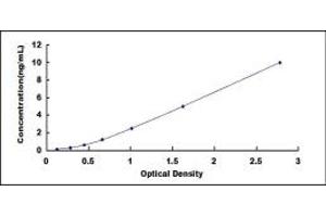 Typical standard curve (MYBPC1 Kit ELISA)