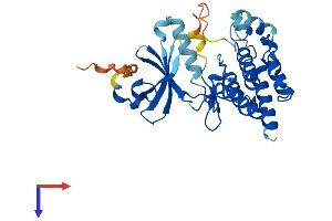 AlphaFold protein structure predicition of Mouse Recombinant Nek7 Protein, UniprotID Q9ES74
