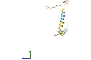 AlphaFold protein structure predicition of Mouse Recombinant Slc51b Protein, UniprotID Q80WK2
