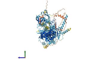 AlphaFold protein structure predicition of Human Recombinant ATP8B1 Protein, UniprotID O43520