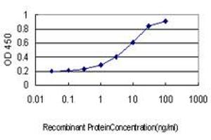 Detection limit for recombinant GST tagged CORO1A is approximately 0. (Coronin 1a anticorps  (AA 360-461))