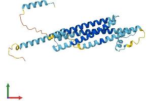 AlphaFold protein structure predicition of Human Recombinant STX11 Protein, UniprotID O75558