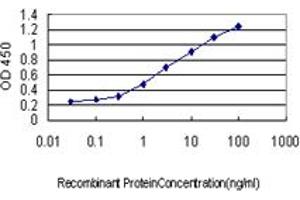 Detection limit for recombinant GST tagged DCP1A is approximately 0. (DCP1A anticorps  (AA 186-285))