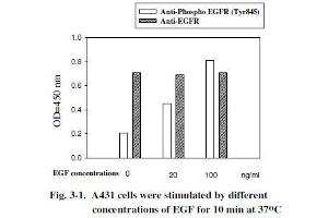 A431 cells were stimulated by different concentrations of EGF for 10 min at 37 °C (EGFR Kit ELISA)