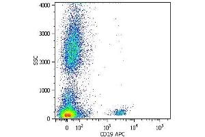 Surface staining of human peripheral blood cells with anti-human CD19 (LT19) APC. (CD19 anticorps  (APC))