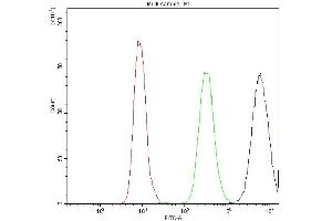 Flow Cytometry analysis of SiHa cells using anti-PPT1 antibody (ABIN3043357).