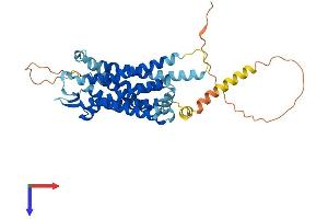 AlphaFold protein structure predicition of Human Recombinant TACR1 Protein, UniprotID P25103