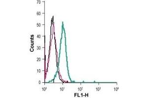 Cell surface detection of EphB4 in live intact human Jurkat T-cell leukemia cells: (black line) Cells.